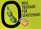 Null Toleranz